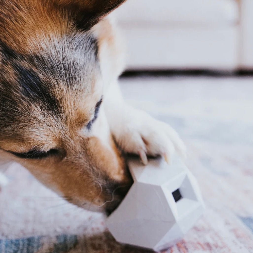 The Odin Treat Dispensing Toy Light Grey