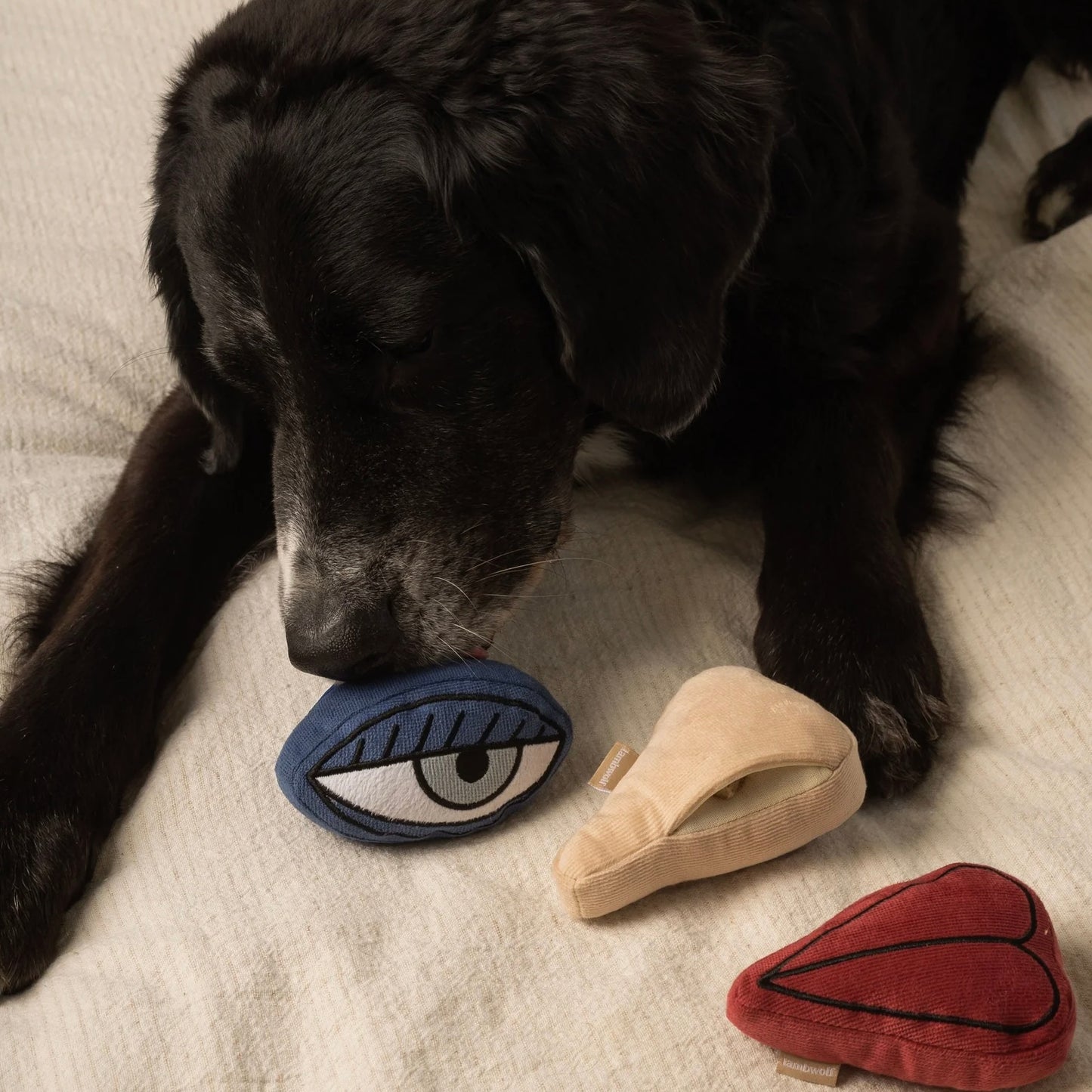 Picasso Enrichment Dog toy set