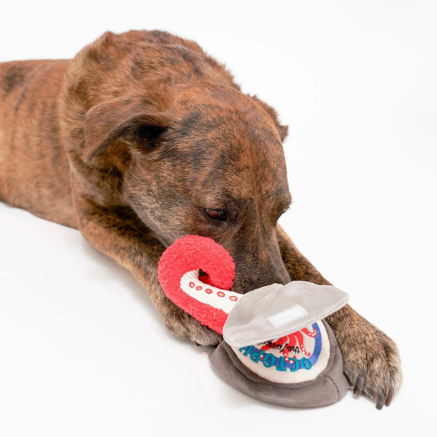 Tinned Octopus Nosework Toy