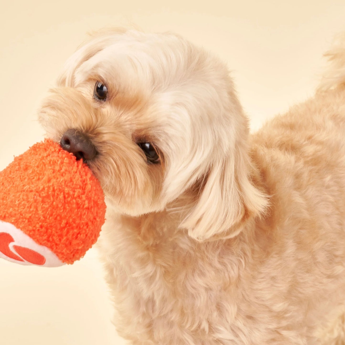 Tinned Jamón Nosework Toy