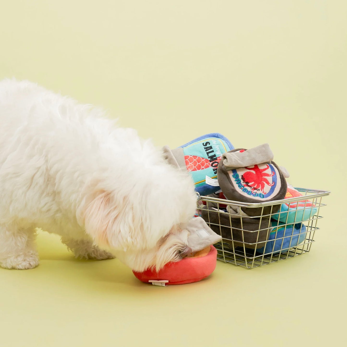 Tinned Mussel Nosework Toy