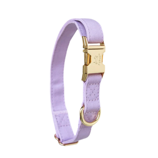Dog collar Lavender