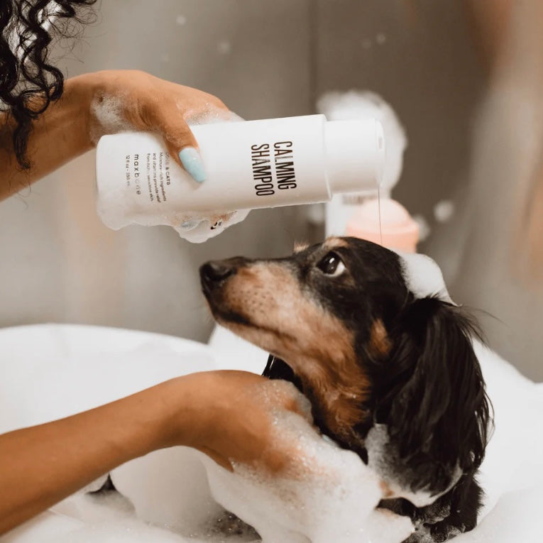 Calming Dog Shampoo
