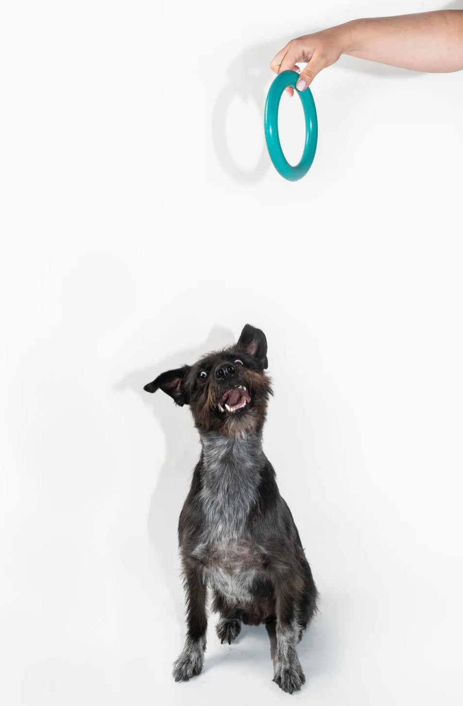 the great ring capri breeze