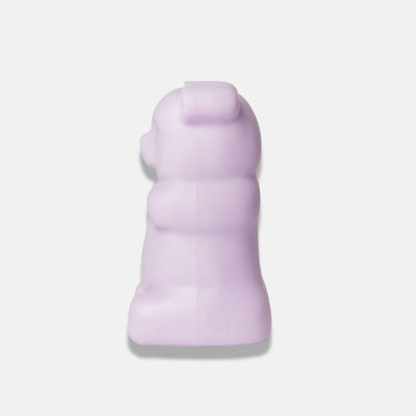 Gummy Squeaky Dog Toy