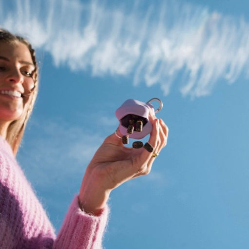 Silicone dog treat dispenser