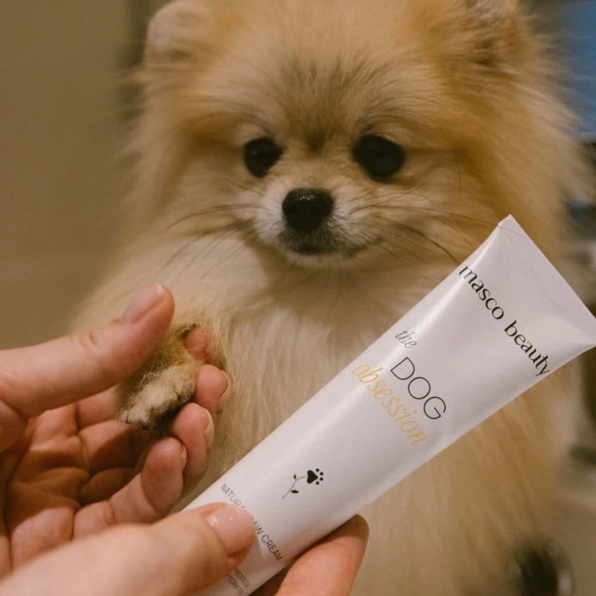 Natural cream for paws, nose and dry areas