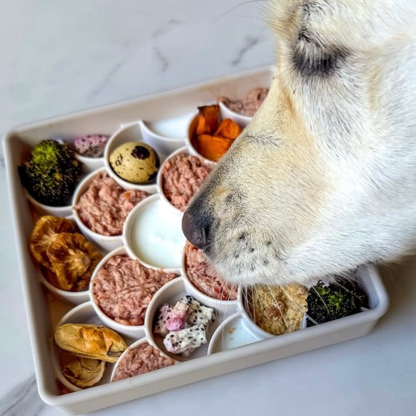 3-in-1 fish scale slow feeder bowl - sand