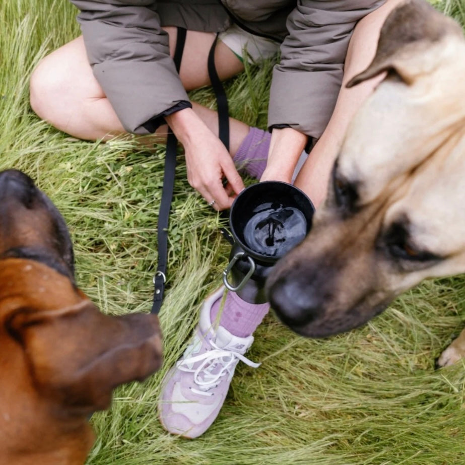 Flip travel bottle black
