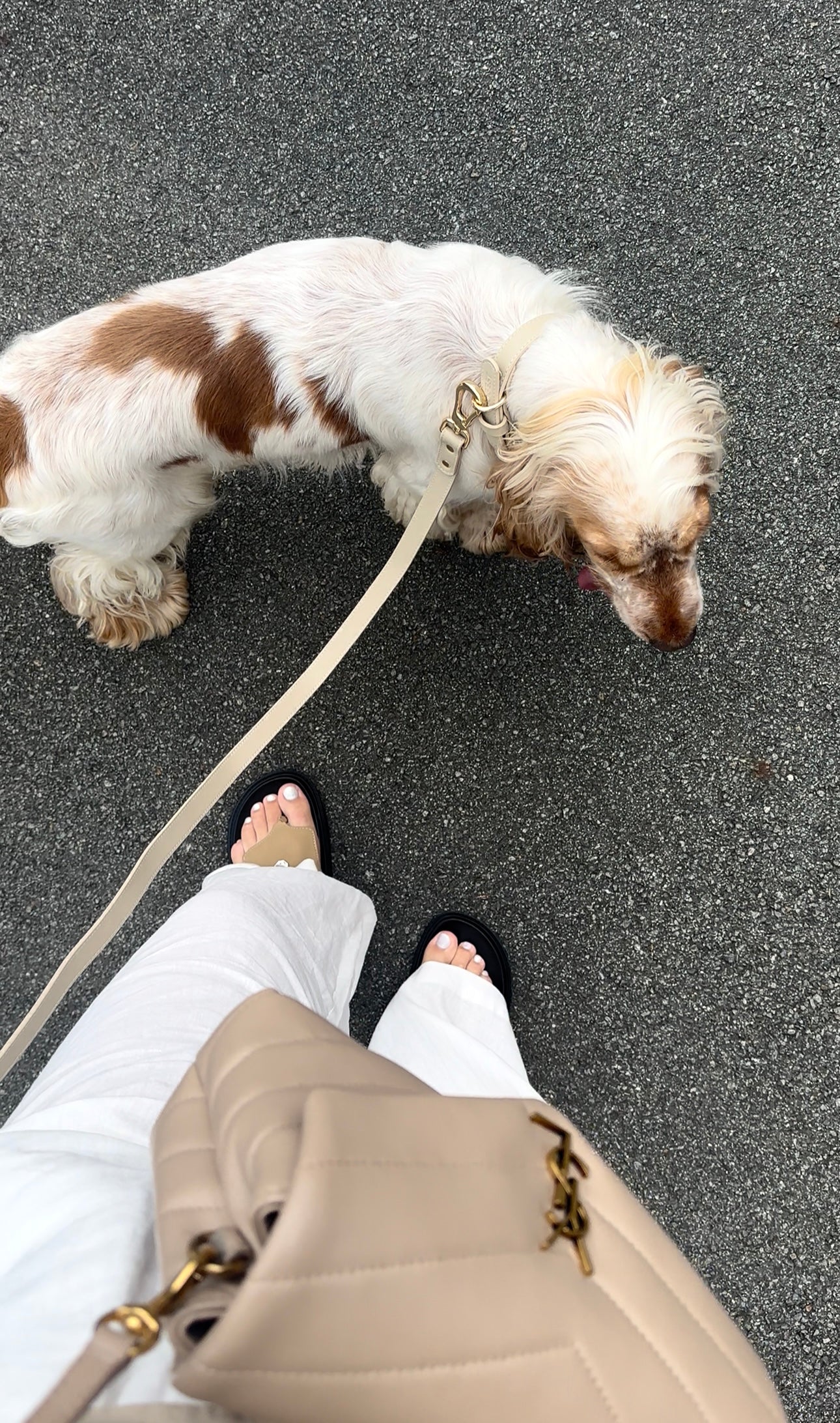 Dog Leash - beige