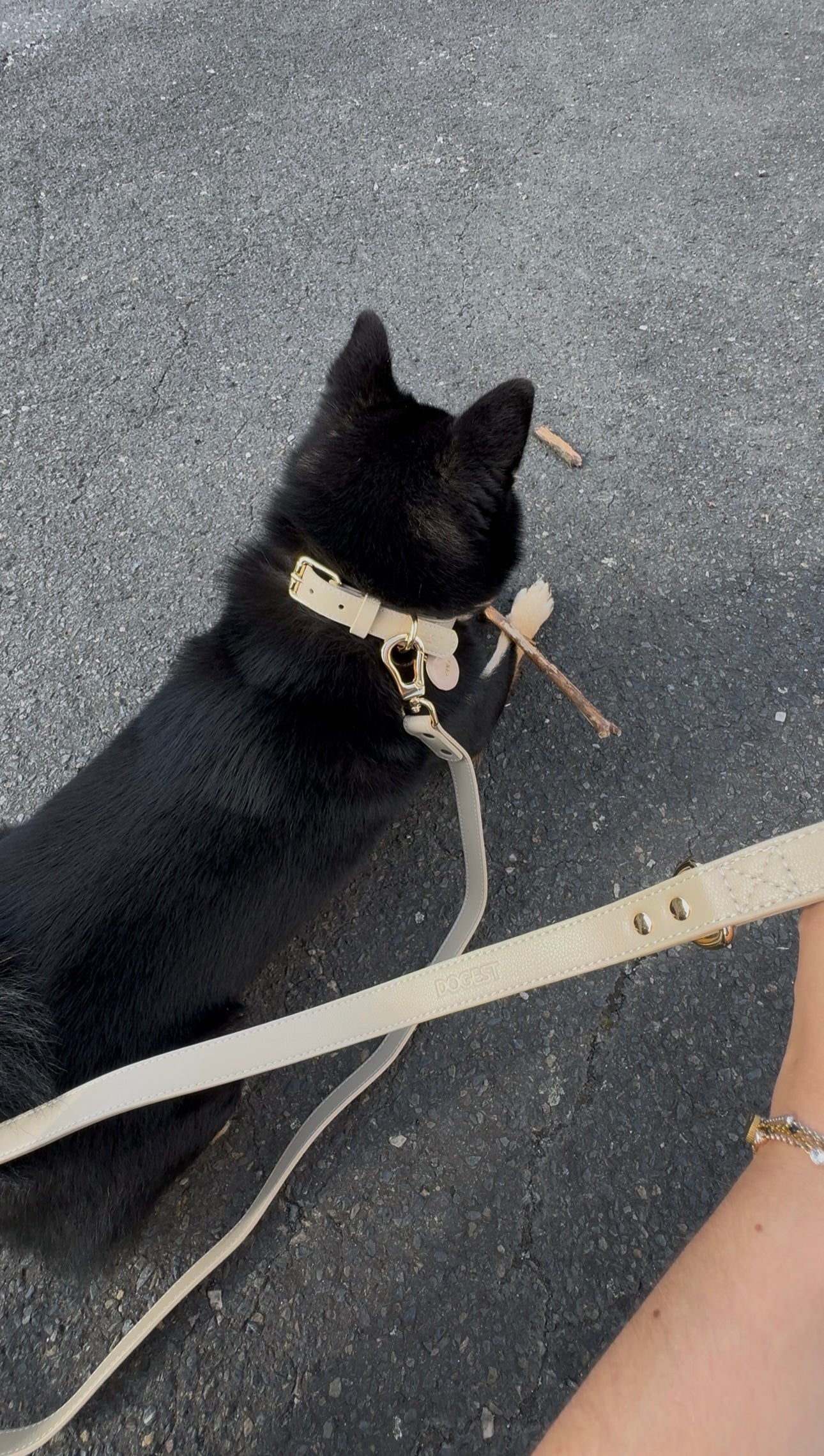 Dog Leash - beige
