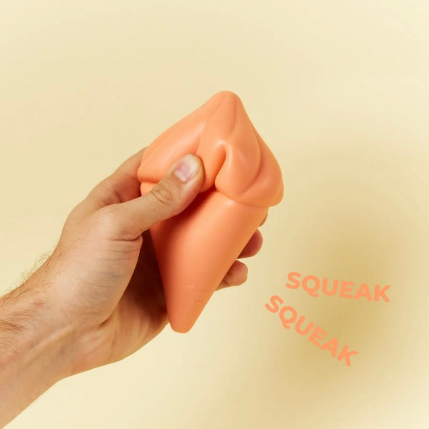Whippy Squeaky Dog Toy