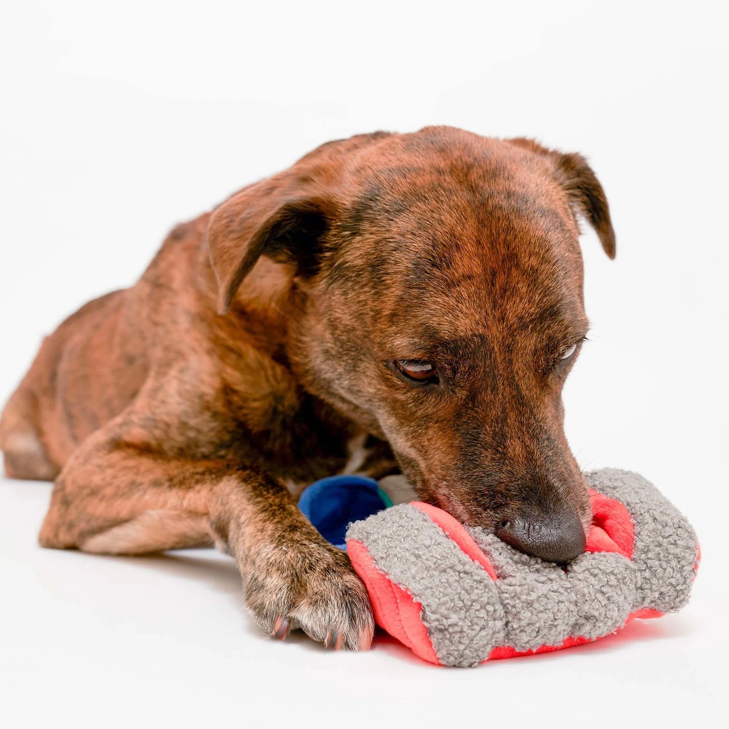 Tinned Salmon Nosework Toy