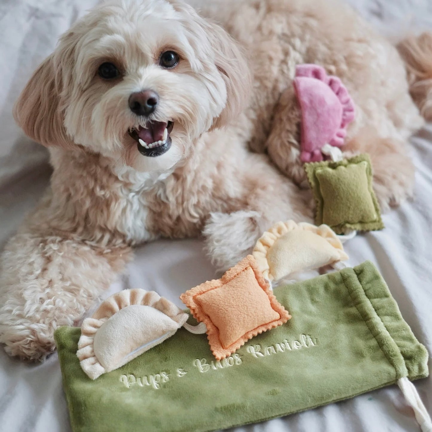 Ravioli Nosework Toy