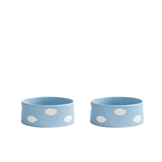 Cloud Pet Bowl 2 Pieces Set