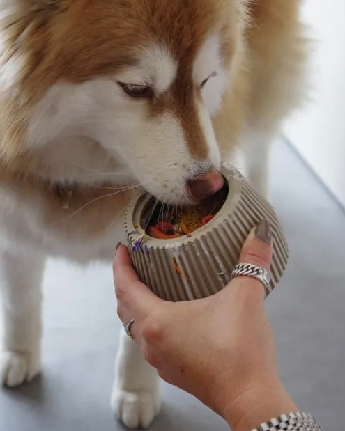 Yume enrichment dog product