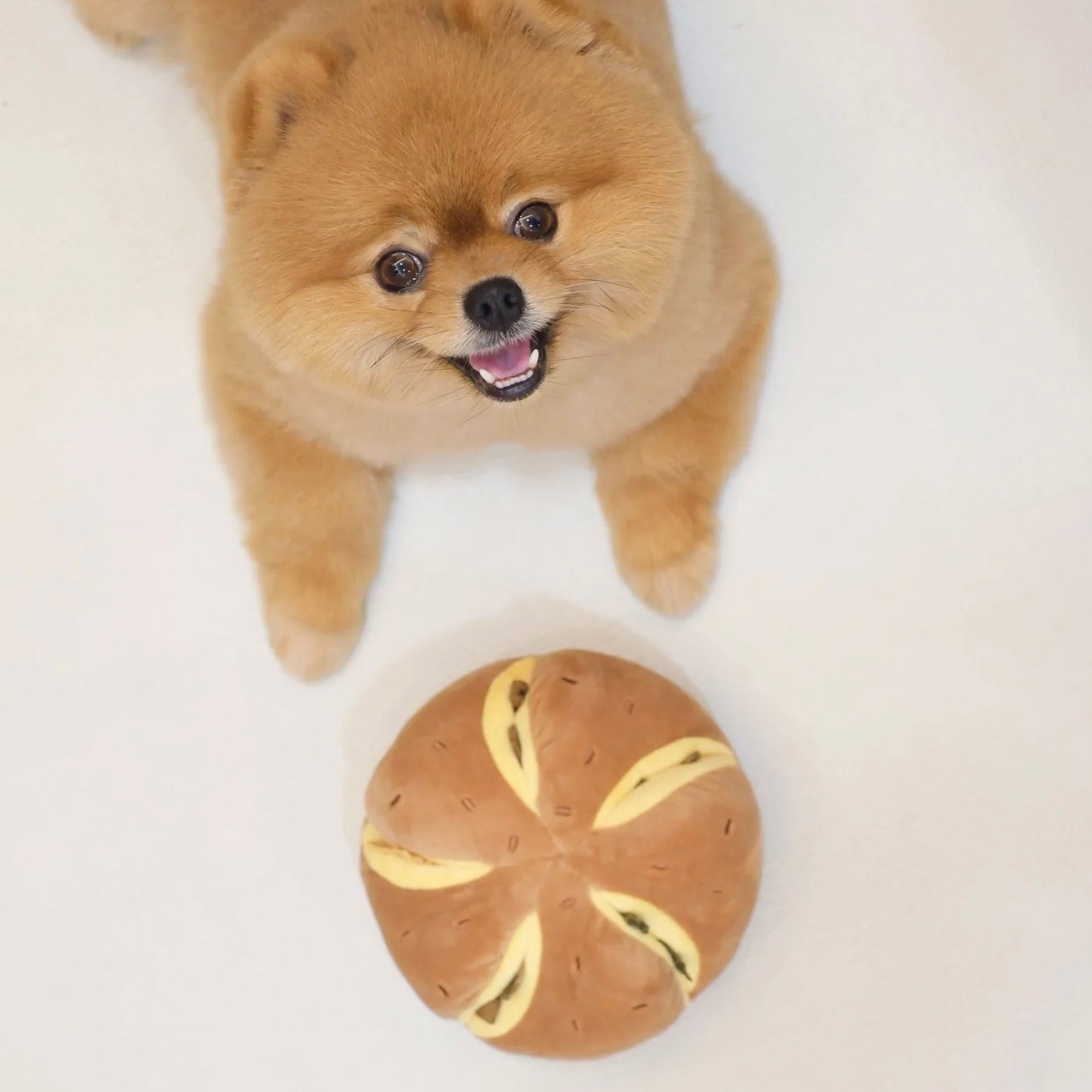 Cheesy Bread Nosework Toy