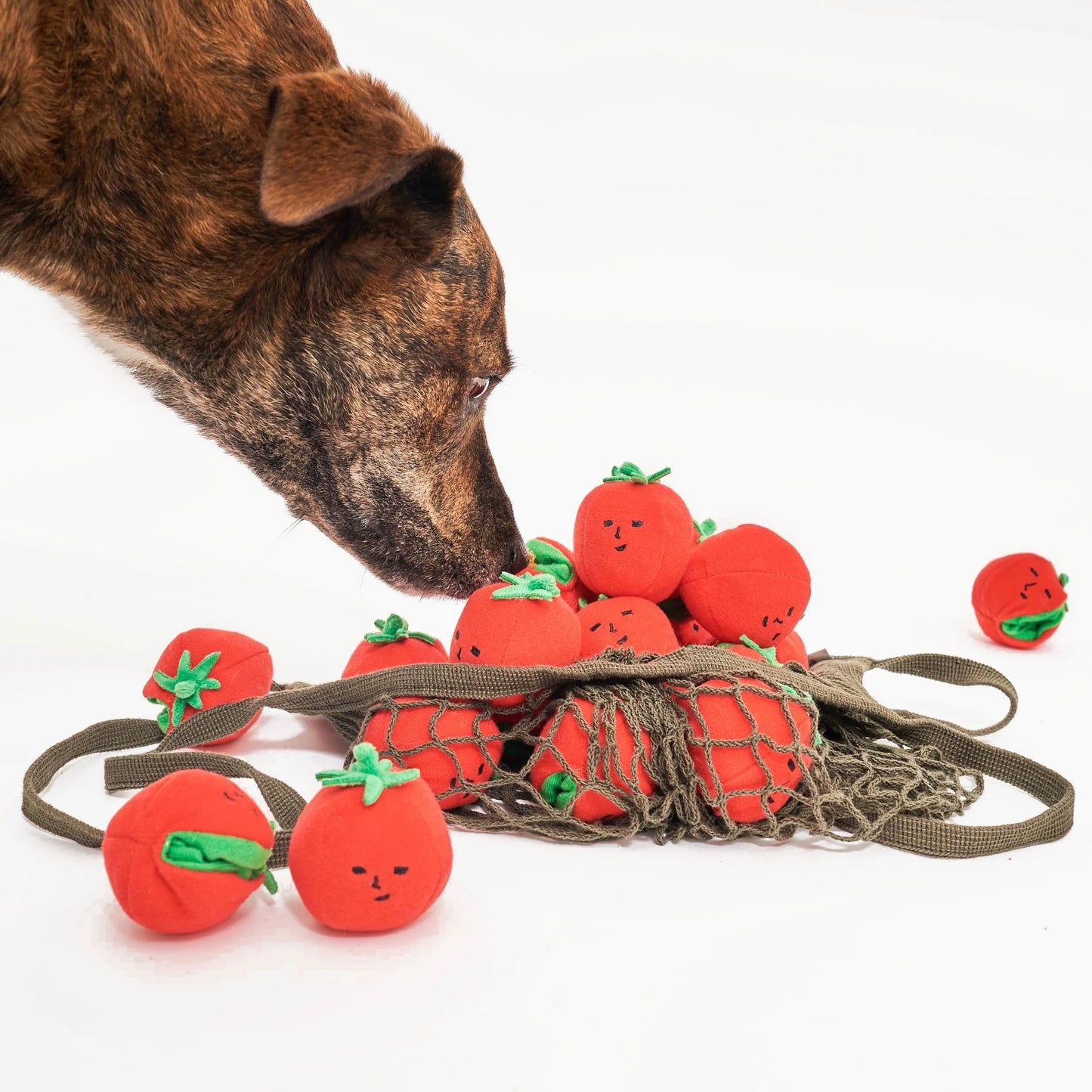Cherry Tomato Nosework & Tug Toy
