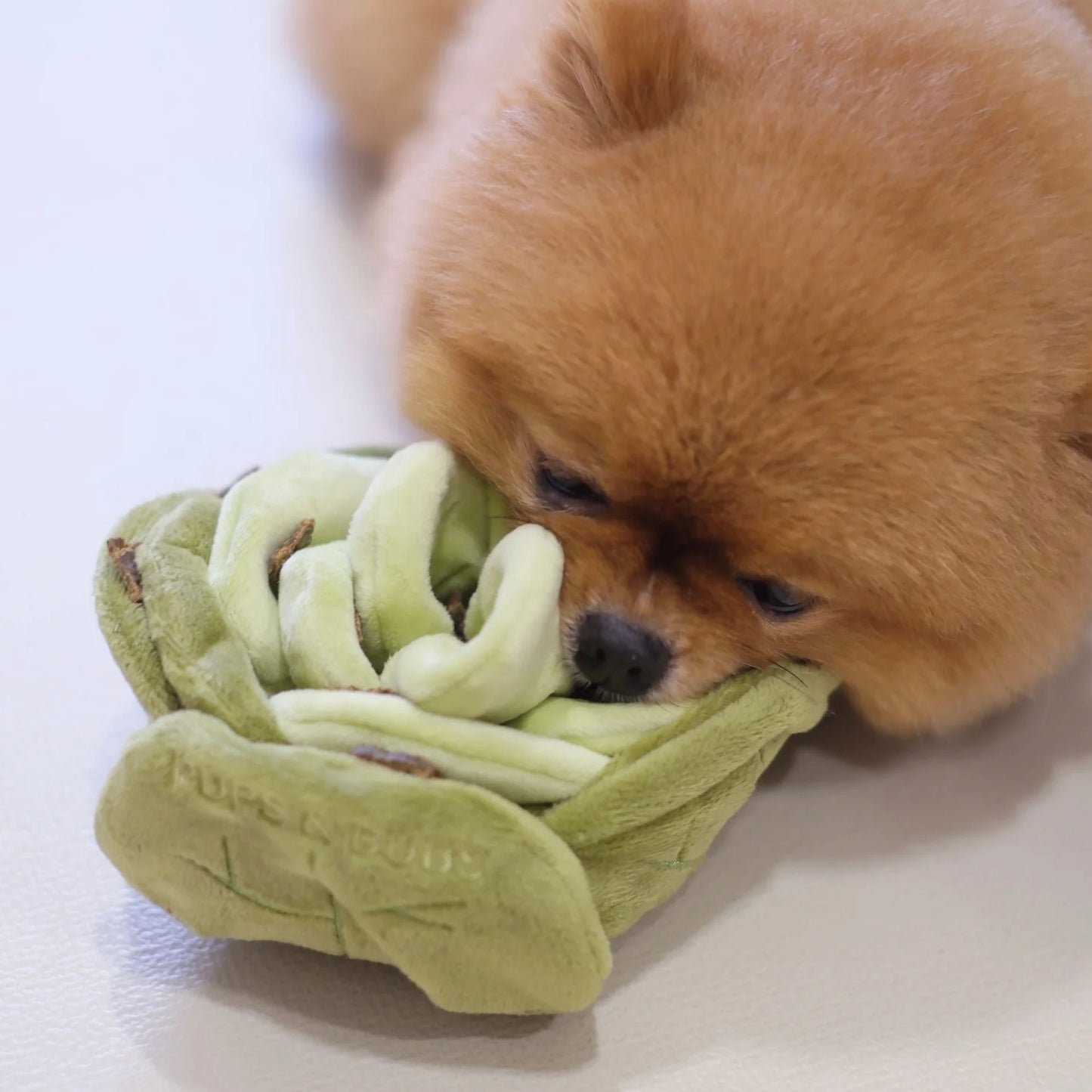 Snuffle Cabbage Nosework Toy