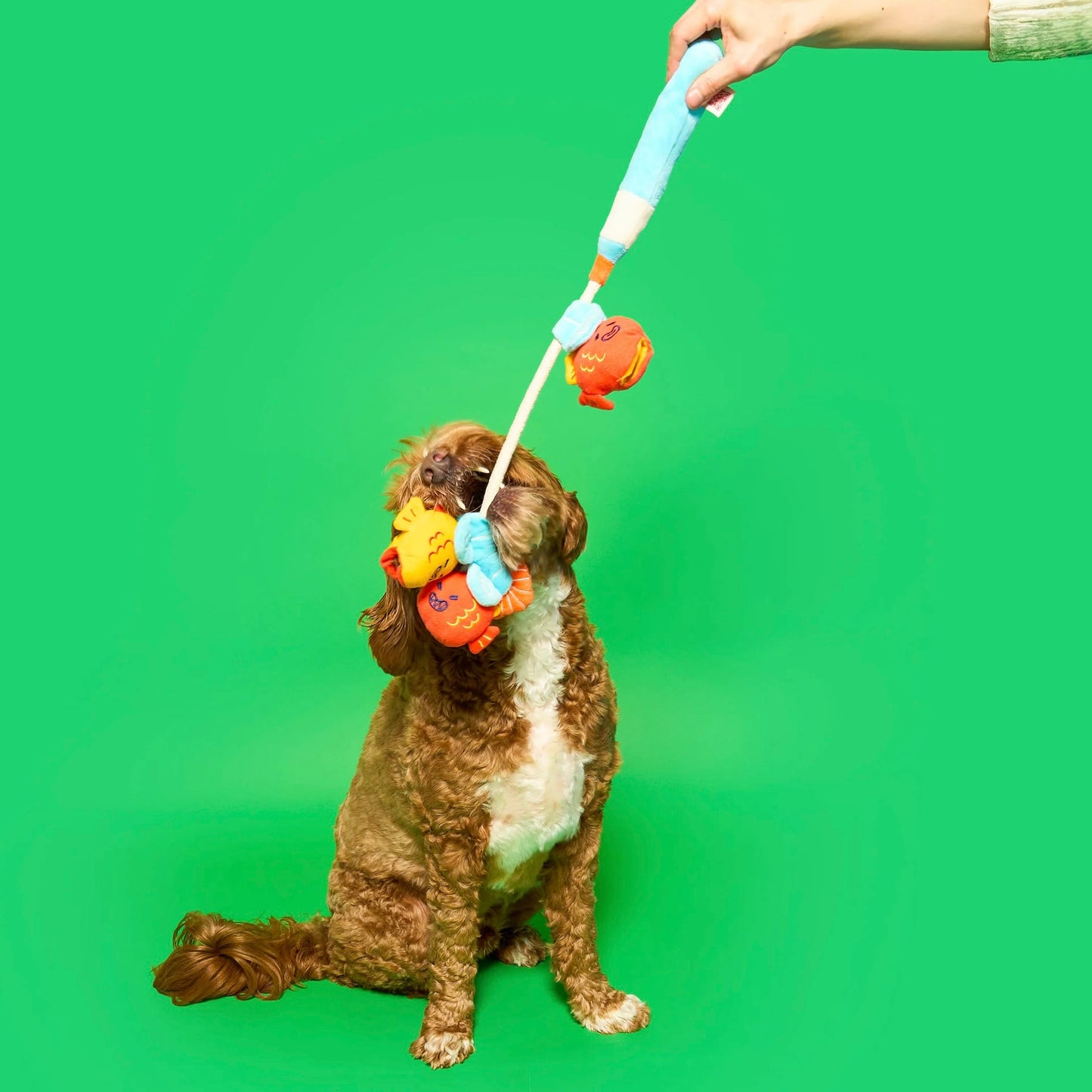 Fishing Nosework & Tug Toy