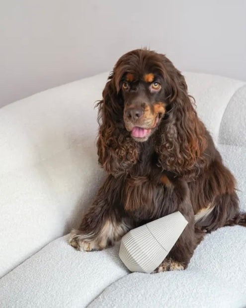 Yume enrichment dog product