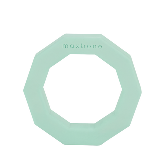 Decagon Rubber dog toy mint