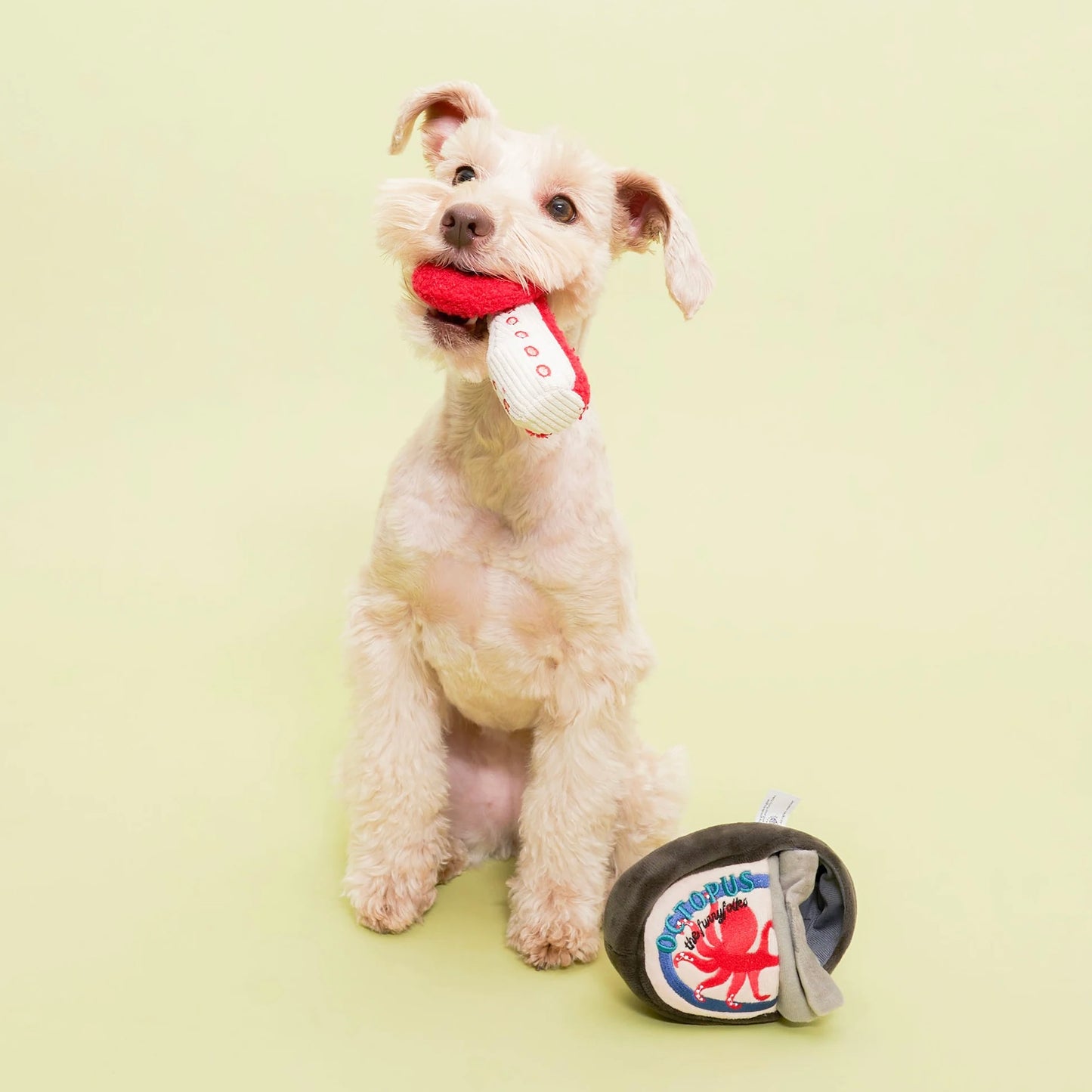 Tinned Octopus Nosework Toy