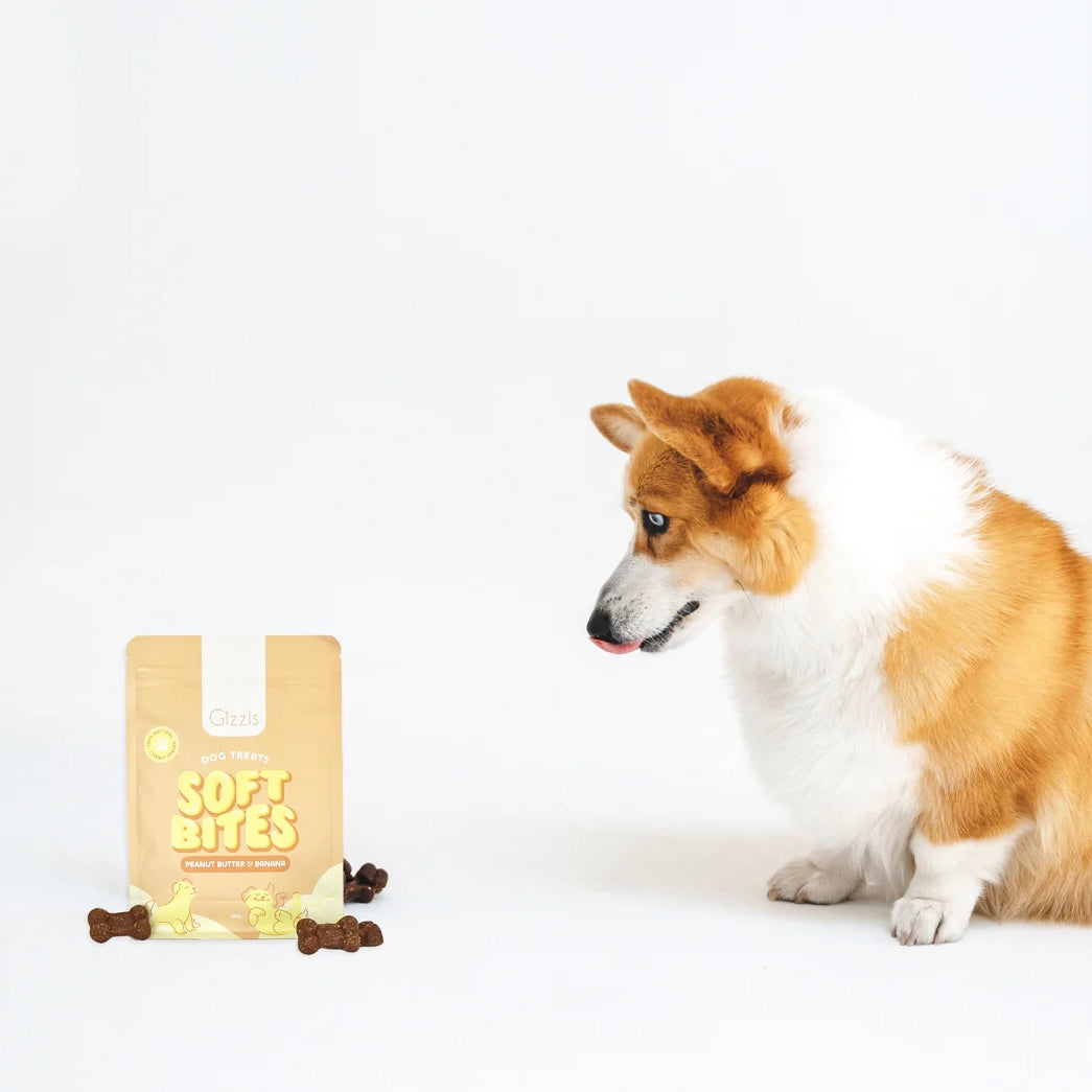 Peanut Butter & Banana Soft Dog Treats