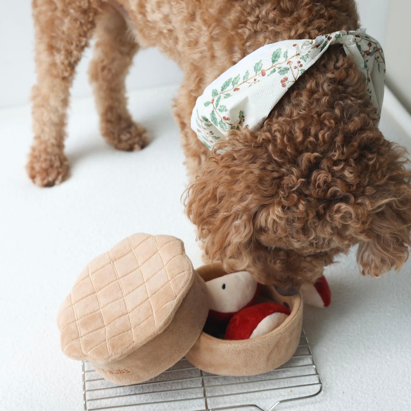 Apple Pie Nosework Toy