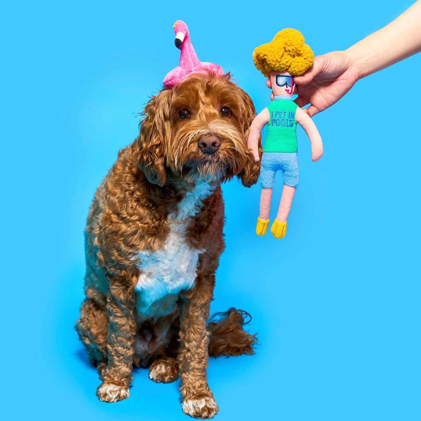 Flamingo Hooman Nosework Toy