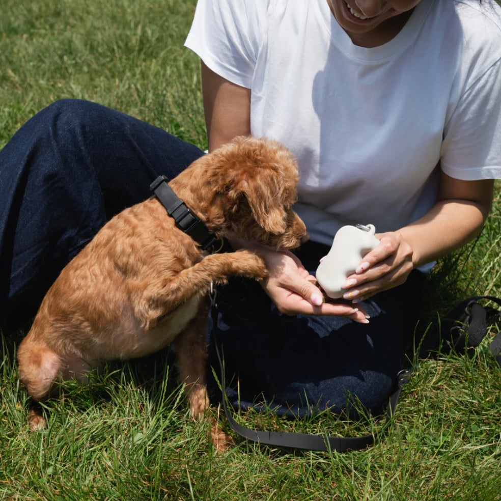 Silicone dog treat dispenser