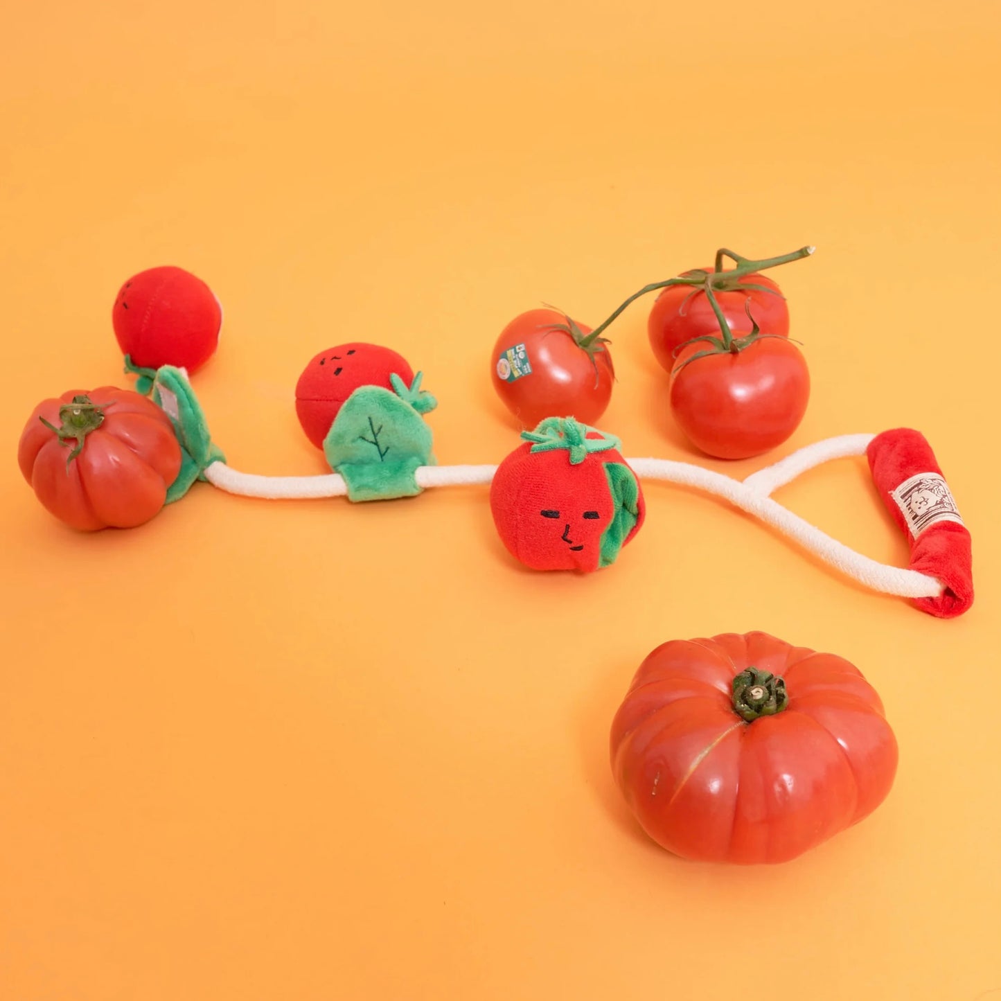 Cherry Tomato Nosework & Tug Toy