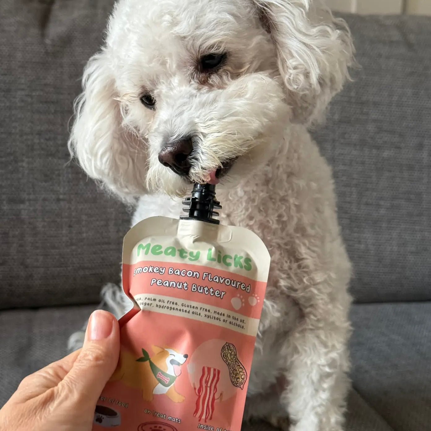 Peanut Butter Pouch for dogs Smokey Bacon 113g