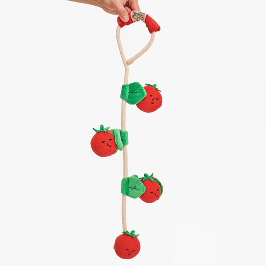 Cherry Tomato Nosework & Tug Toy