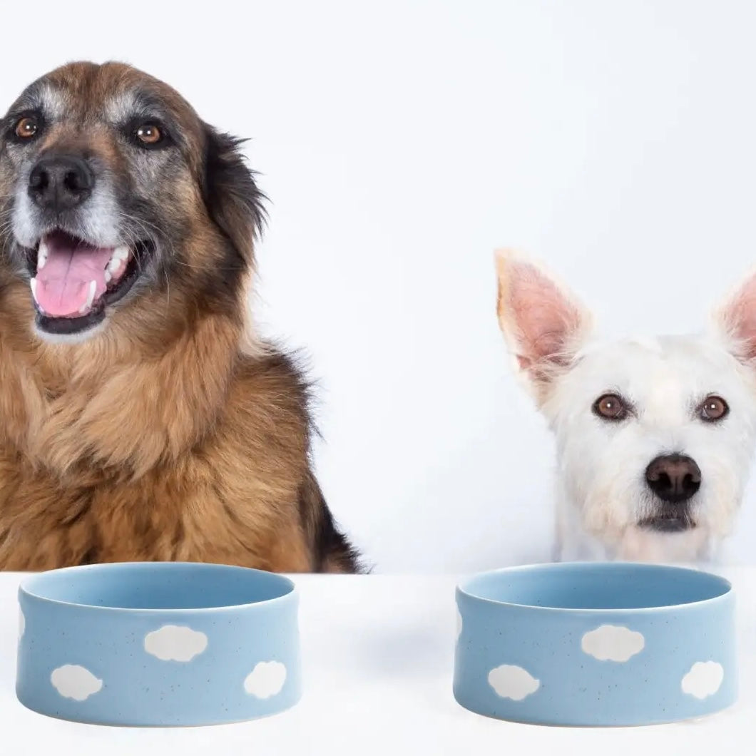 Cloud Pet Bowl 2 Pieces Set