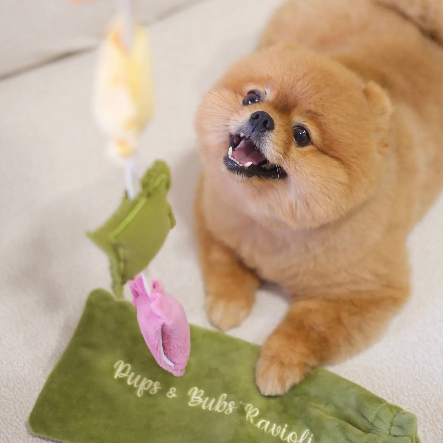 Ravioli Nosework Toy