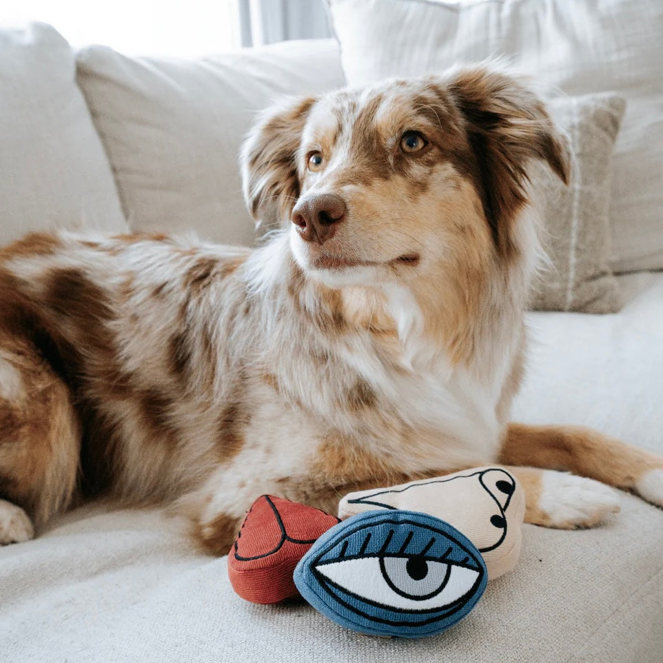 Picasso Enrichment Dog toy set