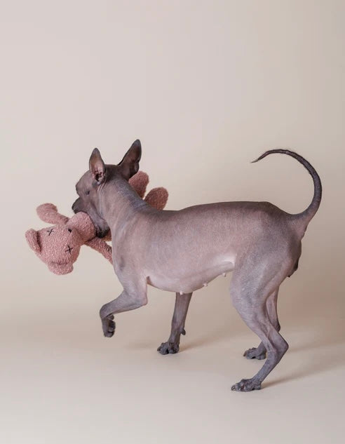 Berty plush toy pink