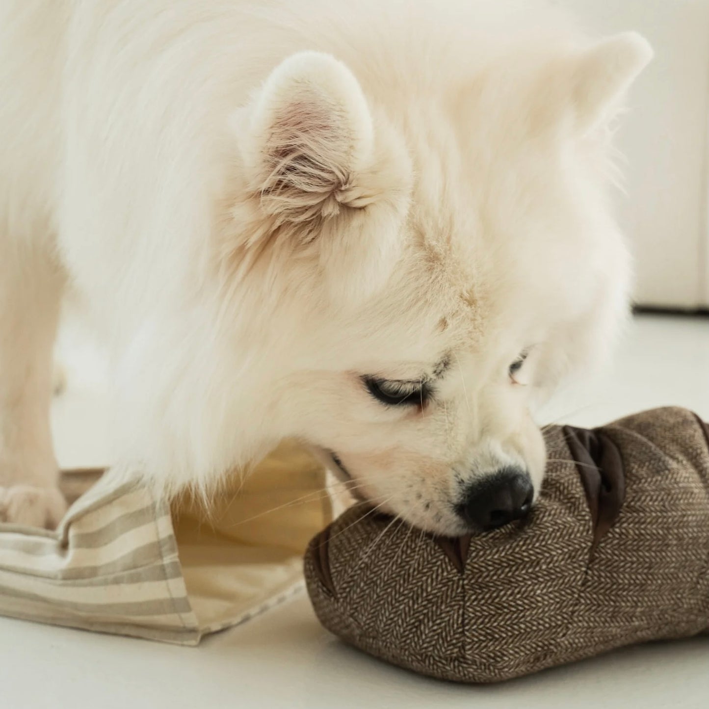 Rye Enrichment dog toy
