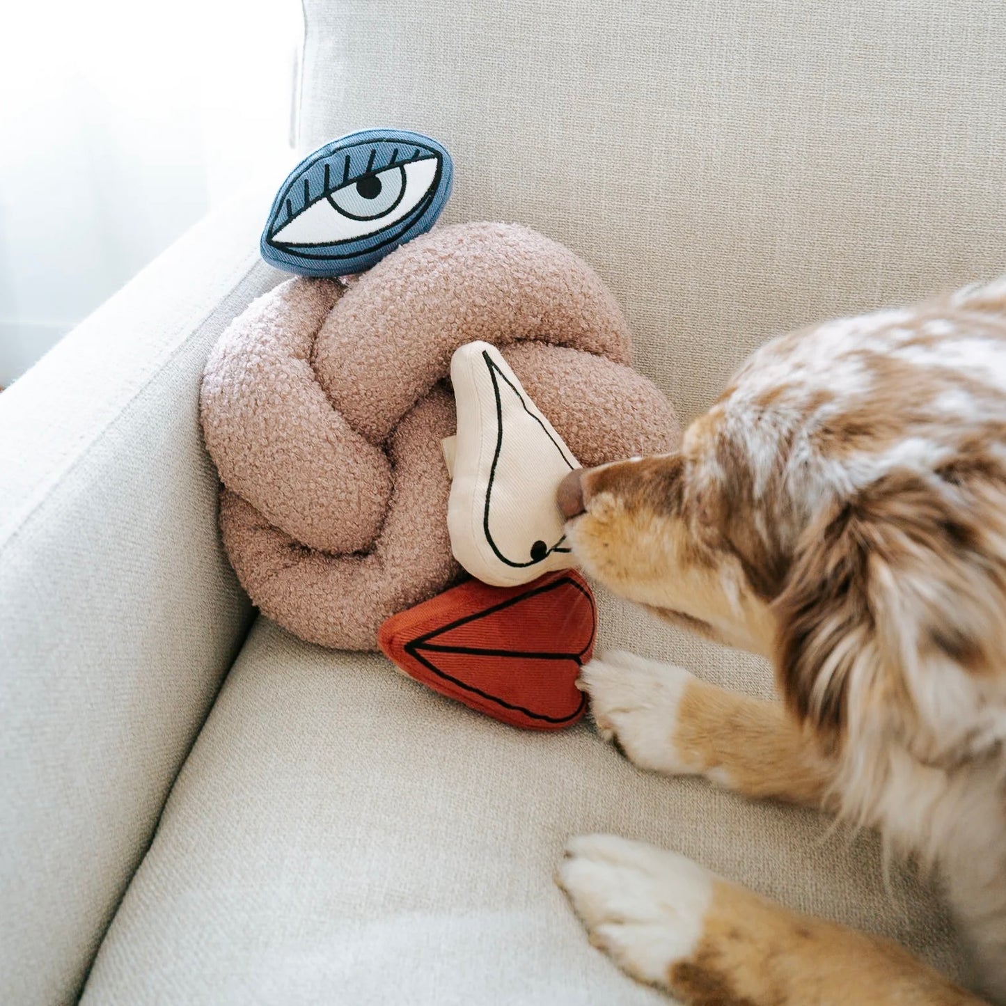 Picasso Enrichment Dog toy set