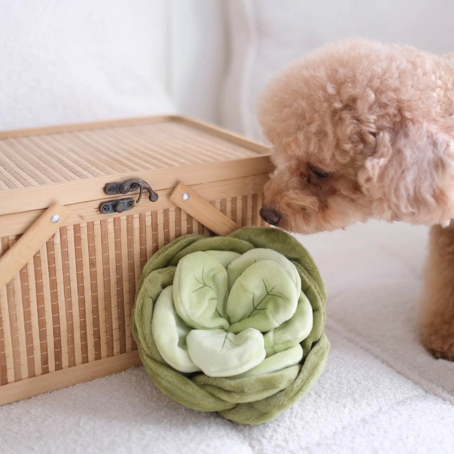 Snuffle Cabbage Nosework Toy