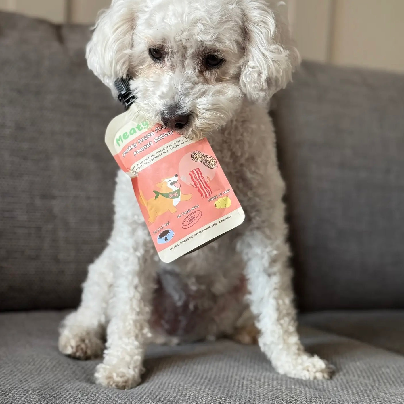Peanut Butter Pouch for dogs Smokey Bacon 113g