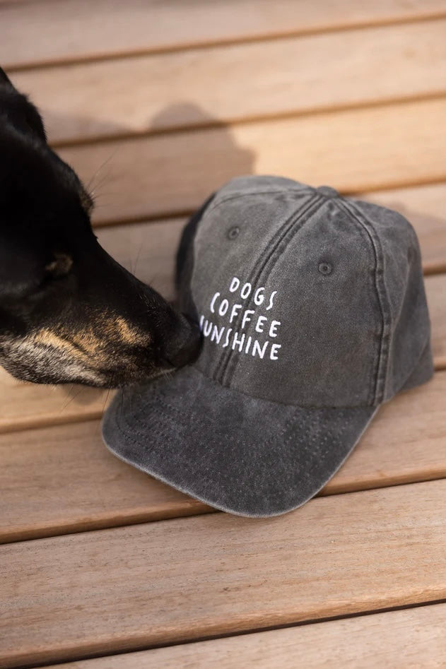 Cap Dogs Coffee Sunshine vintage black