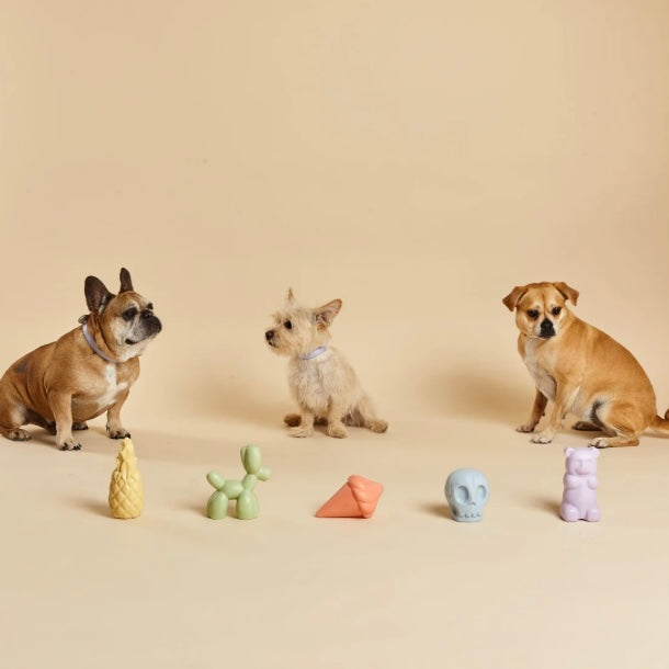 Balloon Squeaky Dog Toy