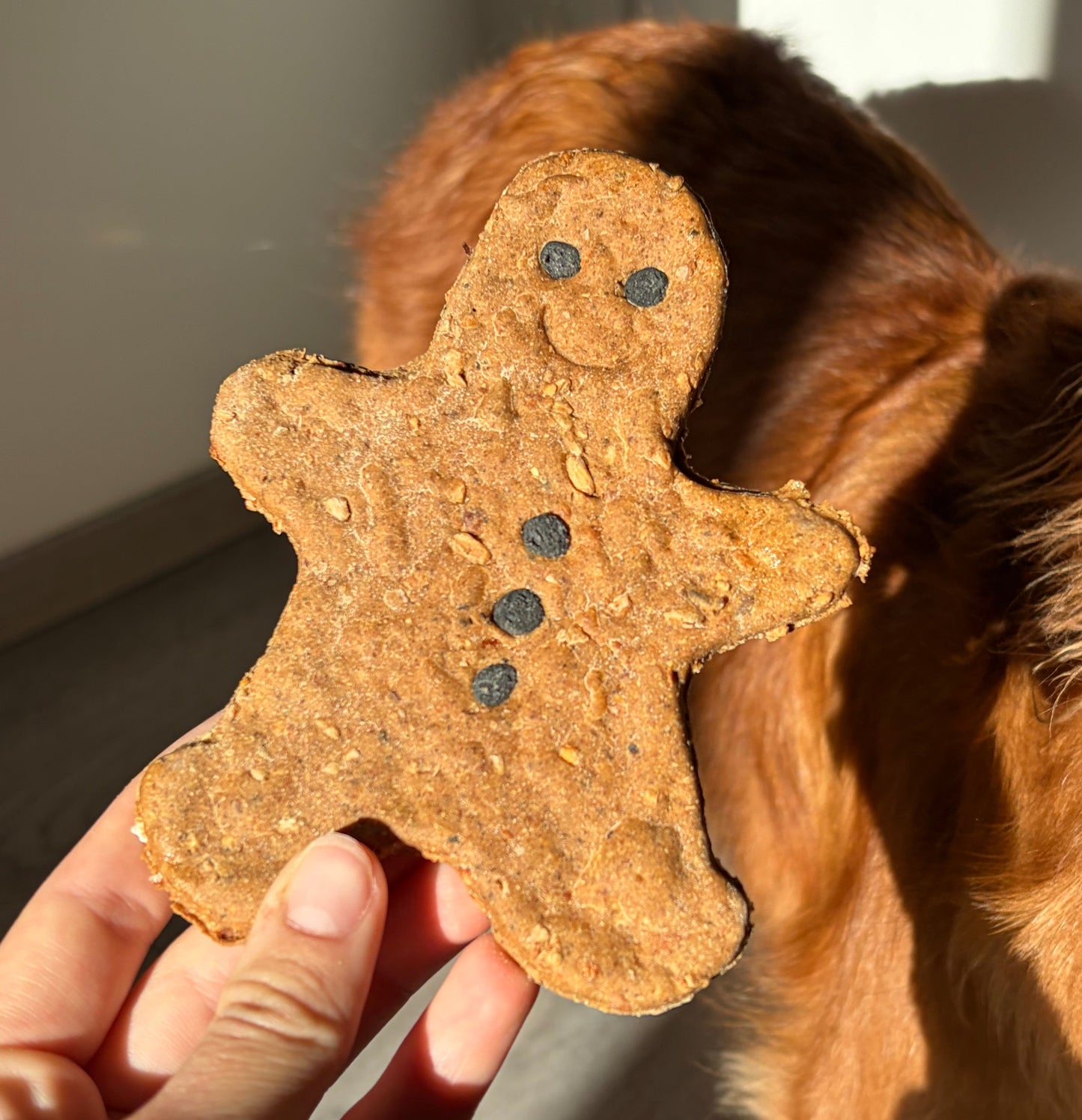 Gingerbread cookie
