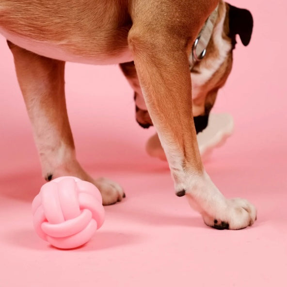 Knotball Squeaky Dog Toy