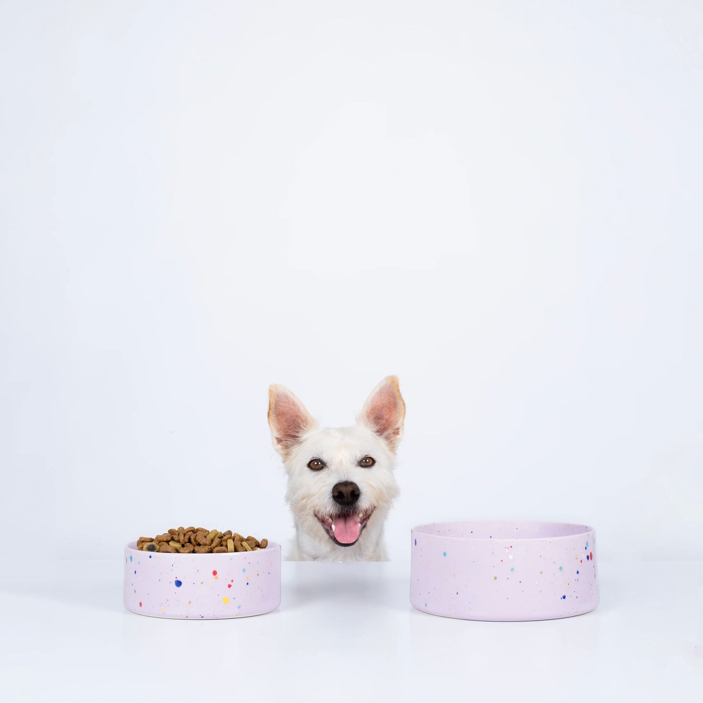 New Party Pet Bowl set of 2 Lilac