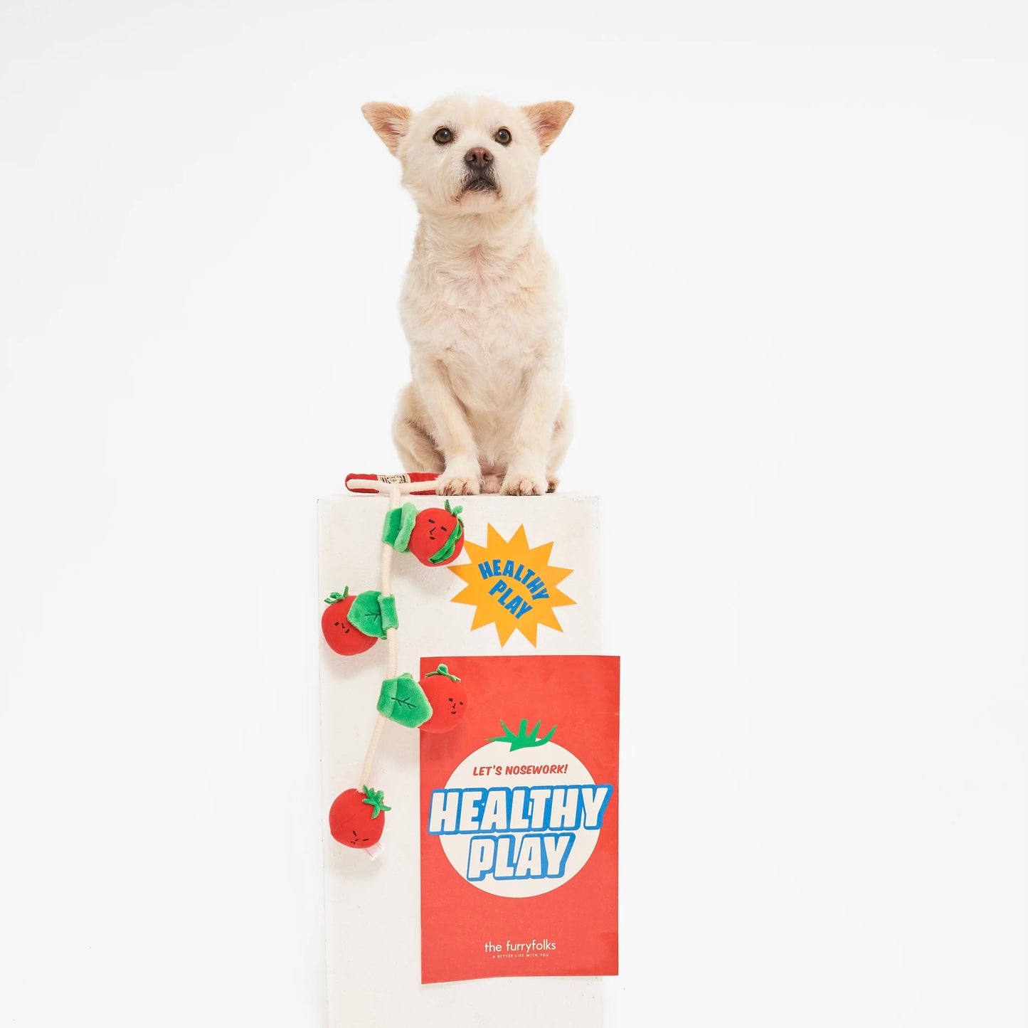 Cherry Tomato Nosework & Tug Toy