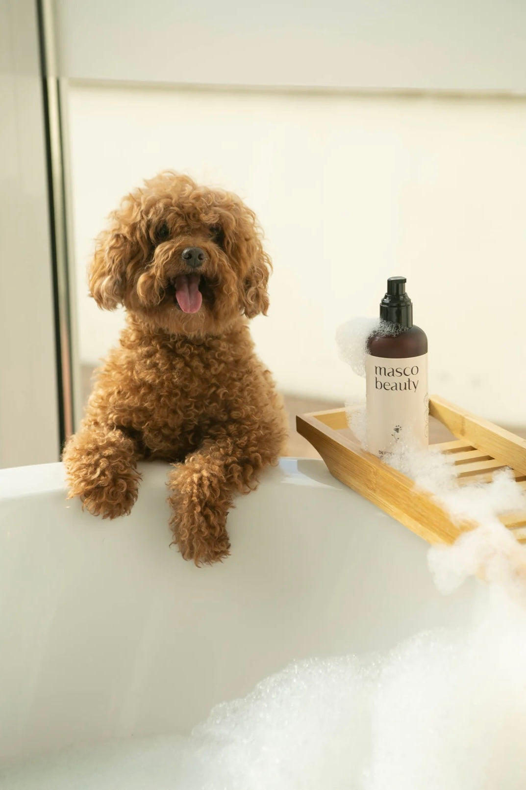 Natural dog Shampoo