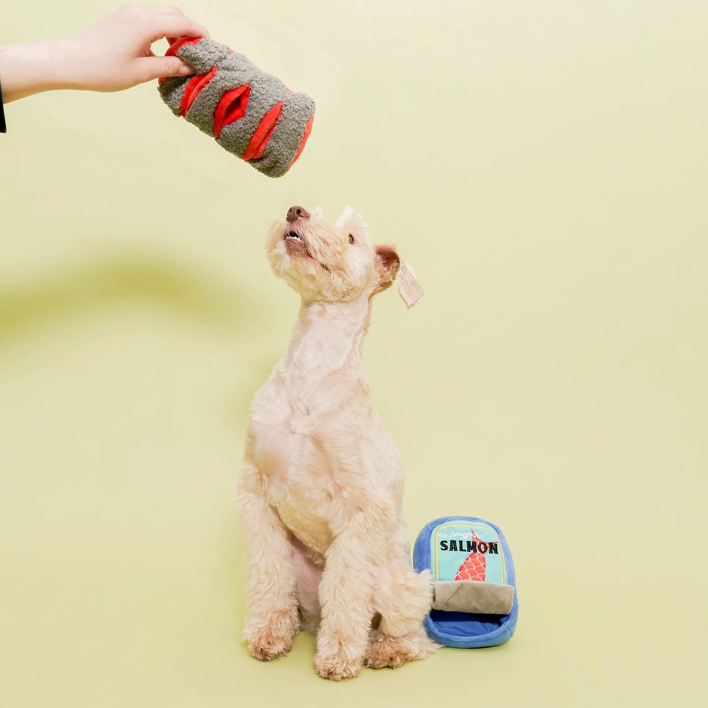Tinned Salmon Nosework Toy